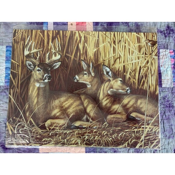 Ducks Unlimited Whitetail Deer Hunting Metal 16x12.5 Sign Decor Man Cave Shop - Picture 1 of 3